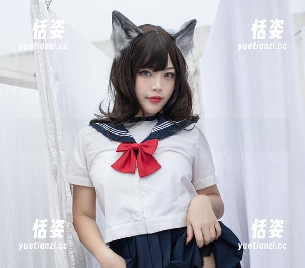 杏子夫人送上：小奶猫，很想猫一猫的资源